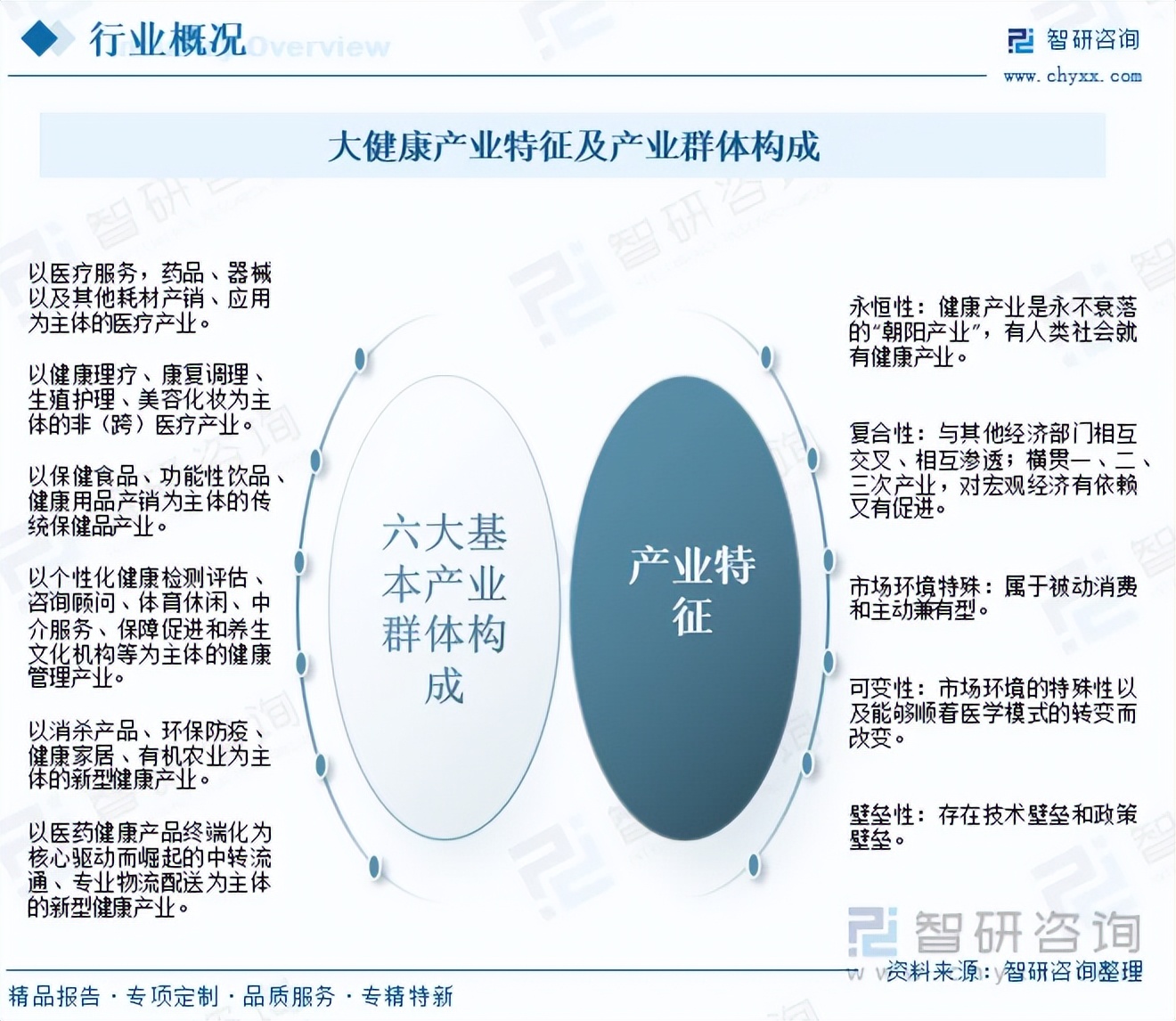 文章插图